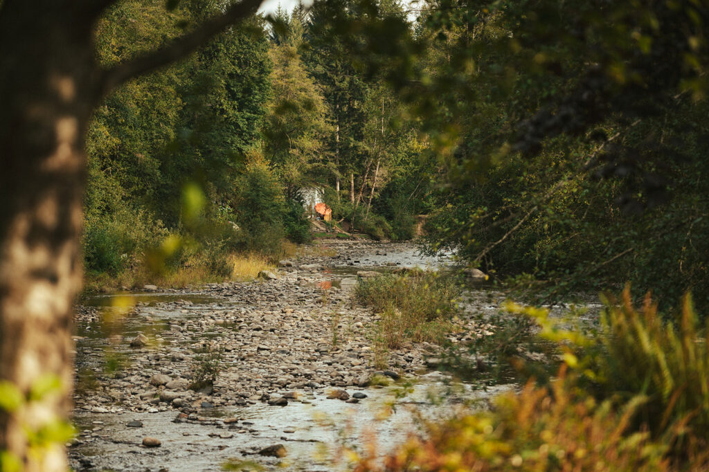 a family of deer cross the river at Snohomish county waterfront wedding venue River Valley Oasis