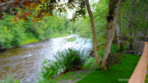 uninterrupted view of the river from the banks under the trees