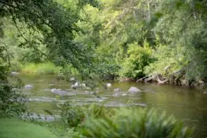 stunning view of river through trees at wedding venue in snohomish county