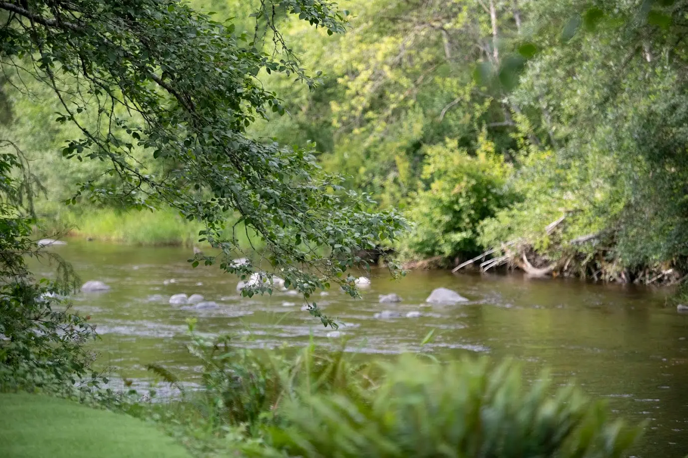 stunning view of river through trees at wedding venue in snohomish county