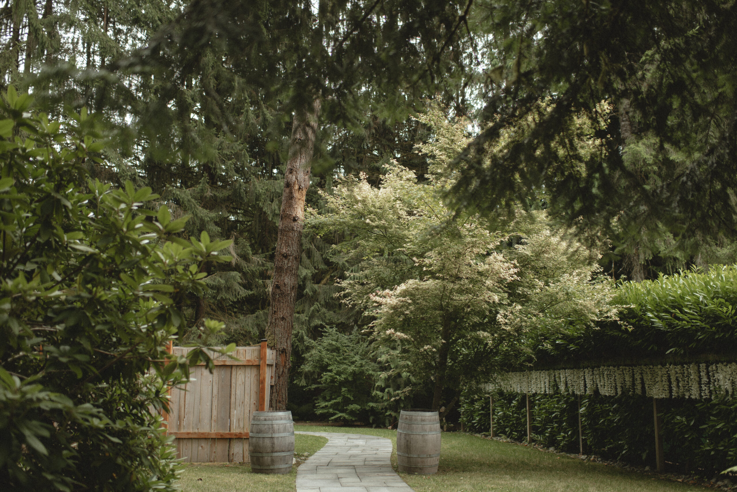 stone pathway in the middle on the forest between two wine barrels